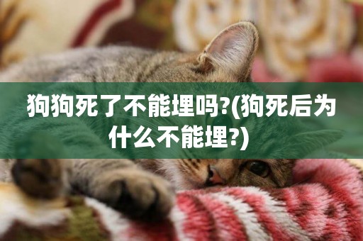 狗狗死了不能埋嗎?(狗死后為什么不能埋?) 