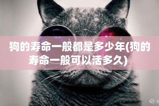 狗的壽命一般都是多少年(狗的壽命一般可以活多久) 