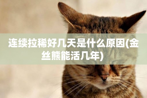 連續拉稀好幾天是什么原因(金絲熊能活幾年) 