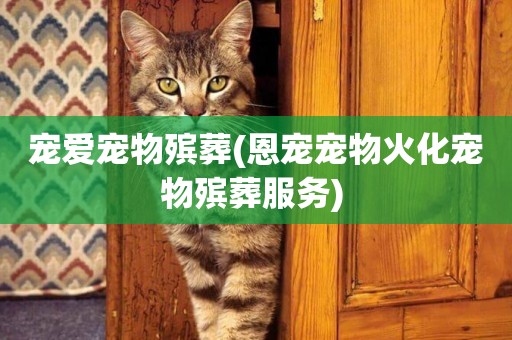 寵愛寵物殯葬(恩寵寵物火化寵物殯葬服務) 