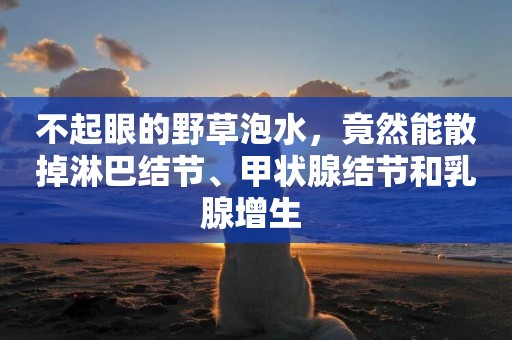 不起眼的野草泡水，竟然能散掉淋巴結節、甲狀腺結節和乳腺增生 