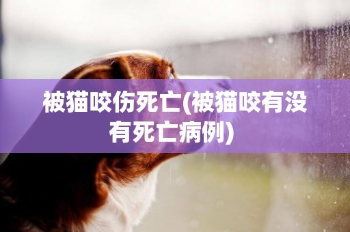 被貓咬傷死亡(被貓咬有沒有死亡病例) 
