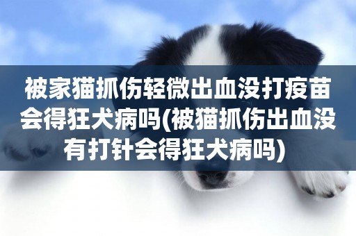 被家貓抓傷輕微出血沒打疫苗會得狂犬病嗎(被貓抓傷出血沒有打針會得狂犬病嗎) 