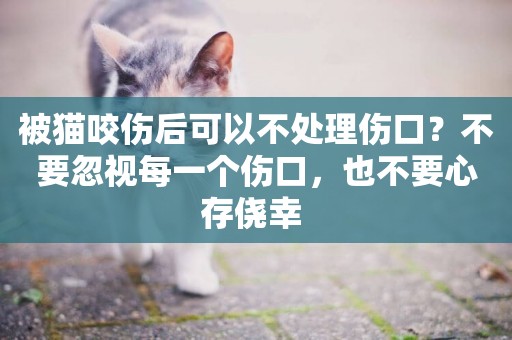 被貓咬傷后可以不處理傷口？不要忽視每一個傷口，也不要心存僥幸 