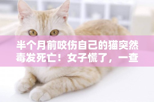 半個月前咬傷自己的貓突然毒發死亡！女子慌了，一查竟被傳染可怕病毒 