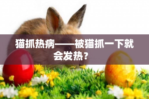 貓抓熱病——被貓抓一下就會發熱？ 