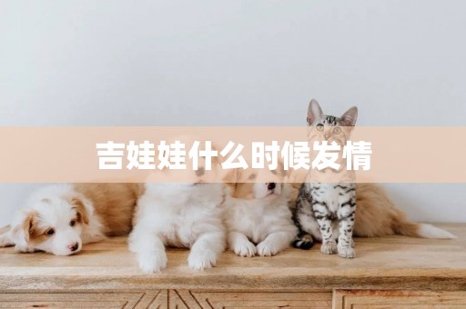 吉娃娃什么時候發情