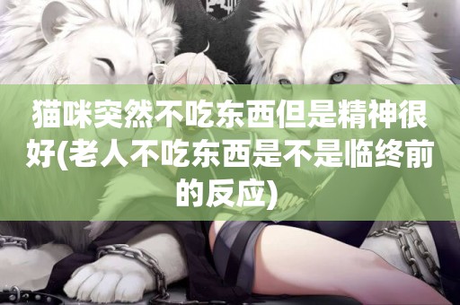 貓咪突然不吃東西但是精神很好(老人不吃東西是不是臨終前的反應) 