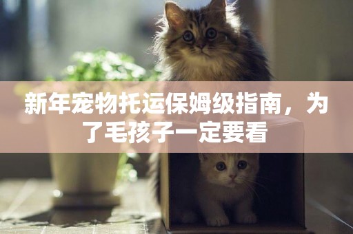 新年寵物托運保姆級指南，為了毛孩子一定要看 
