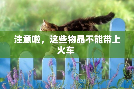 注意啦，這些物品不能帶上火車 