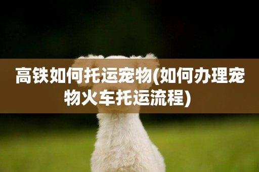 高鐵如何托運寵物(如何辦理寵物火車托運流程) 