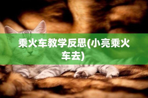乘火車教學反思(小亮乘火車去) 