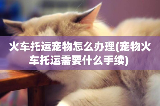 火車托運寵物怎么辦理(寵物火車托運需要什么手續) 