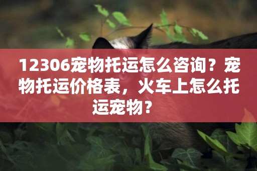 12306寵物托運怎么咨詢？寵物托運價格表，火車上怎么托運寵物？ 