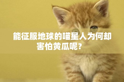 能征服地球的喵星人為何卻害怕黃瓜呢？ 