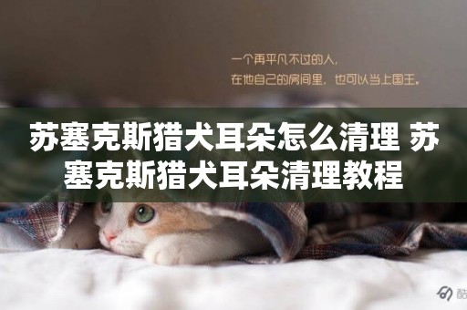 蘇塞克斯獵犬耳朵怎么清理 蘇塞克斯獵犬耳朵清理教程