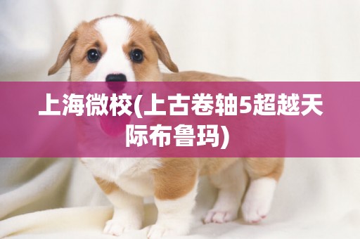 上海微校(上古卷軸5超越天際布魯瑪) 