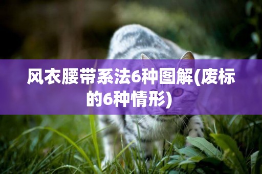 風衣腰帶系法6種圖解(廢標的6種情形) 