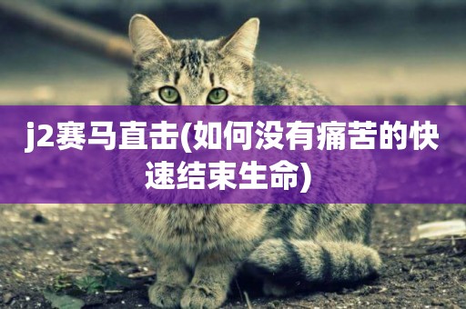 j2賽馬直擊(如何沒有痛苦的快速結束生命) 