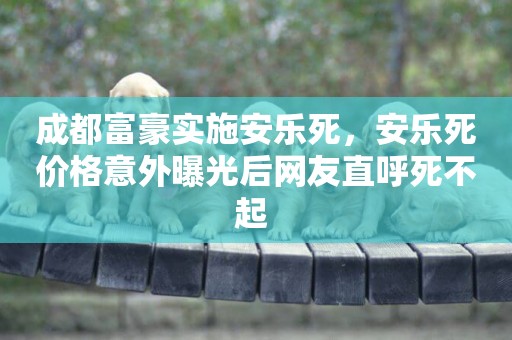 成都富豪實施安樂死，安樂死價格意外曝光后網友直呼死不起 