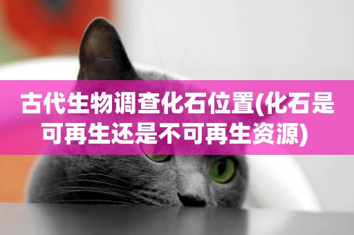 古代生物調查化石位置(化石是可再生還是不可再生資源) 