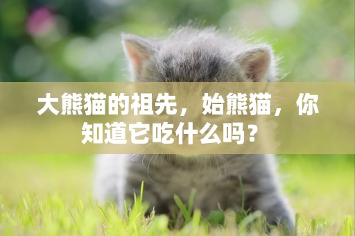 大熊貓的祖先，始熊貓，你知道它吃什么嗎？ 