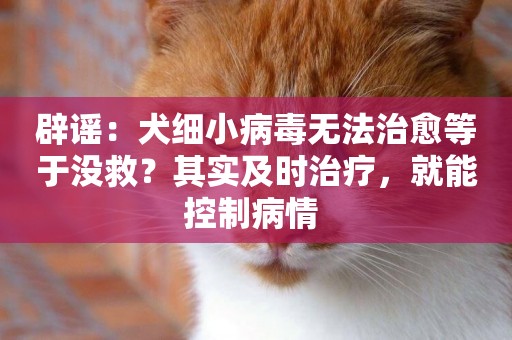 辟謠：犬細小病毒無法治愈等于沒救？其實及時治療，就能控制病情 