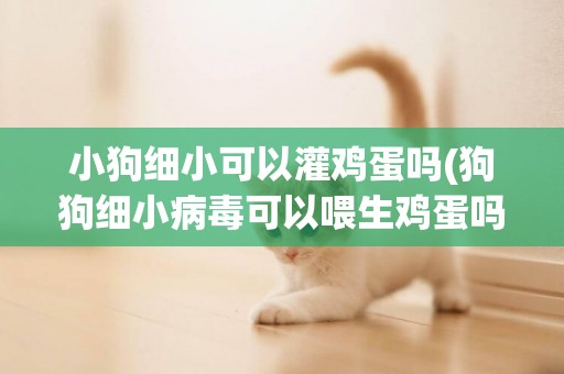 小狗細小可以灌雞蛋嗎(狗狗細小病毒可以喂生雞蛋嗎) 