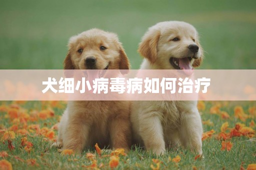 犬細小病毒病如何治療 