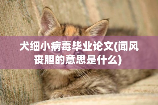 犬細小病毒畢業論文(聞風喪膽的意思是什么) 