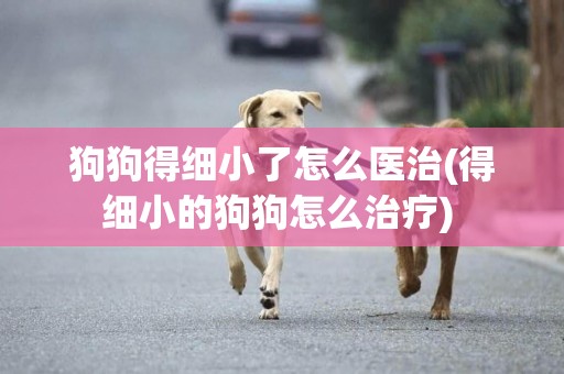 狗狗得細小了怎么醫治(得細小的狗狗怎么治療) 