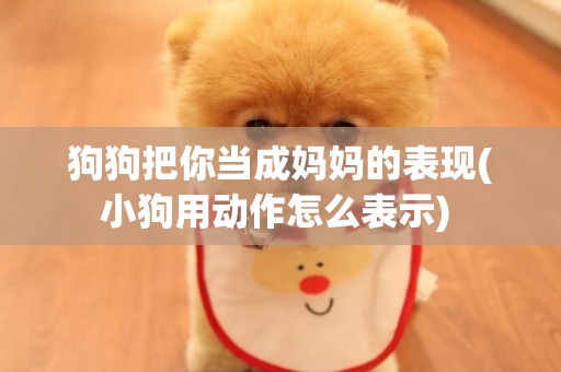 狗狗把你當成媽媽的表現(小狗用動作怎么表示) 