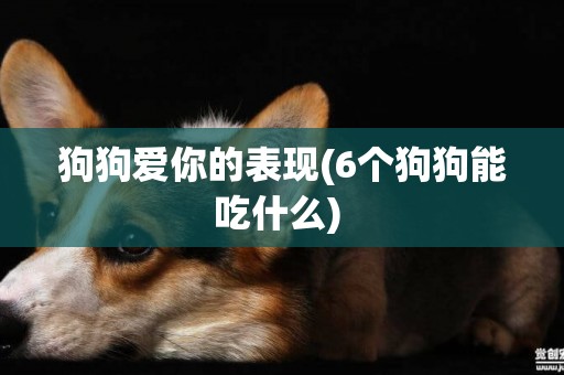 狗狗愛你的表現(6個狗狗能吃什么) 