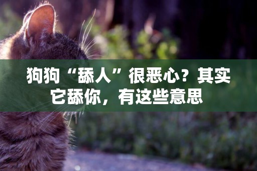 狗狗“舔人”很惡心？其實它舔你，有這些意思 