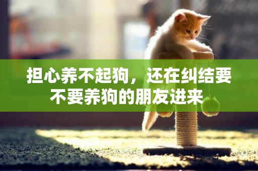 擔心養不起狗，還在糾結要不要養狗的朋友進來 