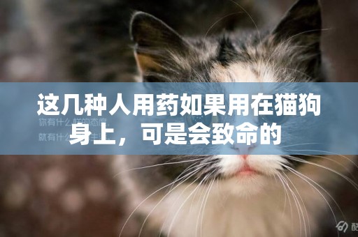 這幾種人用藥如果用在貓狗身上，可是會致命的 