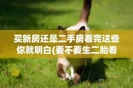 買新房還是二手房看完這些你就明白(要不要生二胎看完這些才決定) 