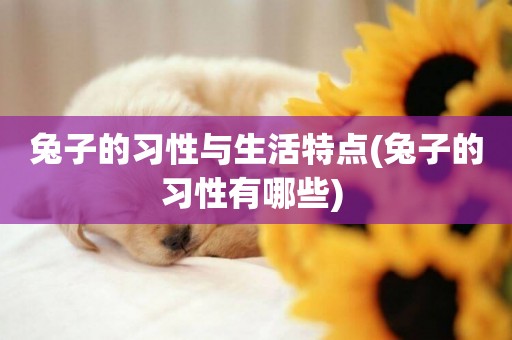 兔子的習性與生活特點(兔子的習性有哪些) 