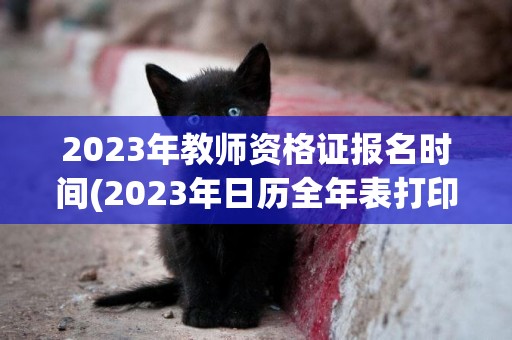 2023年教師資格證報名時間(2023年日歷全年表打印) 