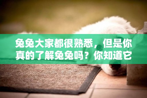 兔兔大家都很熟悉，但是你真的了解兔兔嗎？你知道它的演化過程嗎 