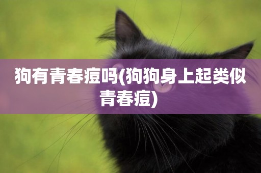 狗有青春痘嗎(狗狗身上起類似青春痘) 