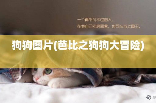 狗狗圖片(芭比之狗狗大冒險) 