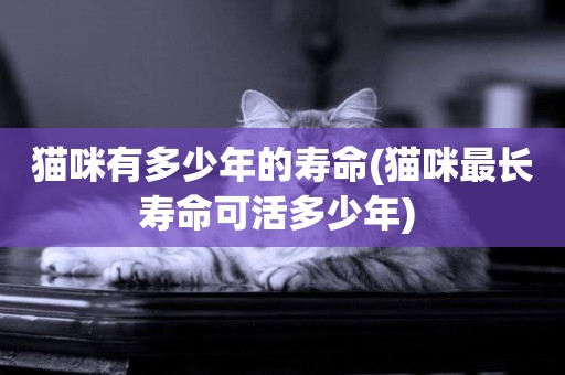 貓咪有多少年的壽命(貓咪最長壽命可活多少年) 