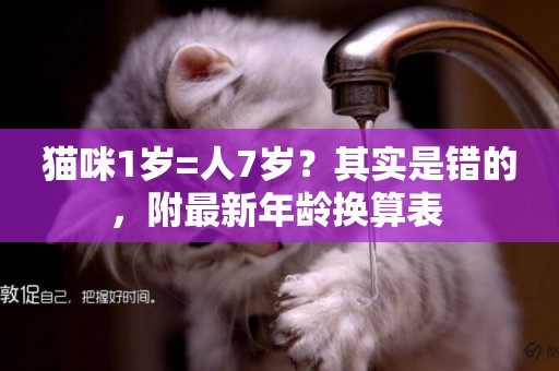 貓咪1歲=人7歲？其實是錯的，附最新年齡換算表 