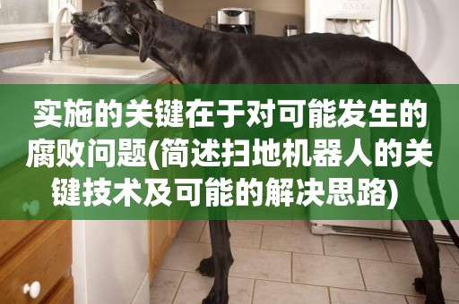 實施的關鍵在于對可能發生的腐敗問題(簡述掃地機器人的關鍵技術及可能的解決思路) 