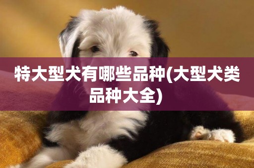 特大型犬有哪些品種(大型犬類品種大全) 