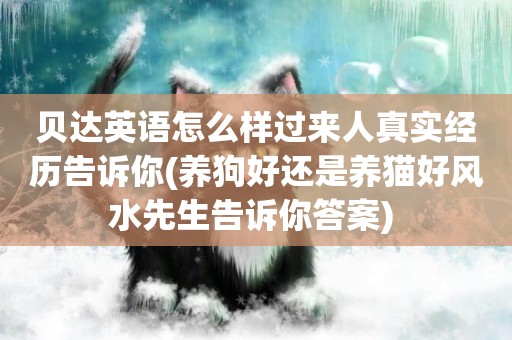 貝達英語怎么樣過來人真實經歷告訴你(養狗好還是養貓好風水先生告訴你答案) 