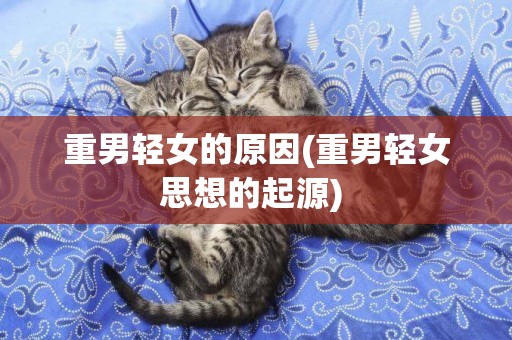 重男輕女的原因(重男輕女思想的起源) 