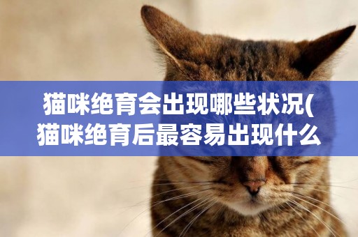 貓咪絕育會出現哪些狀況(貓咪絕育后最容易出現什么樣的危險行為) 