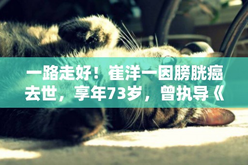 一路走好！崔洋一因膀胱癌去世，享年73歲，曾執導《導盲犬小Q》 